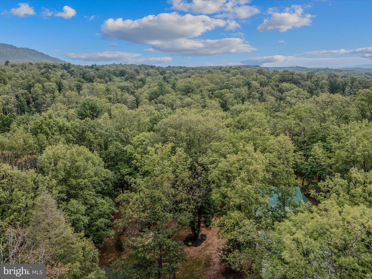 237 Redbud Ln photo 60