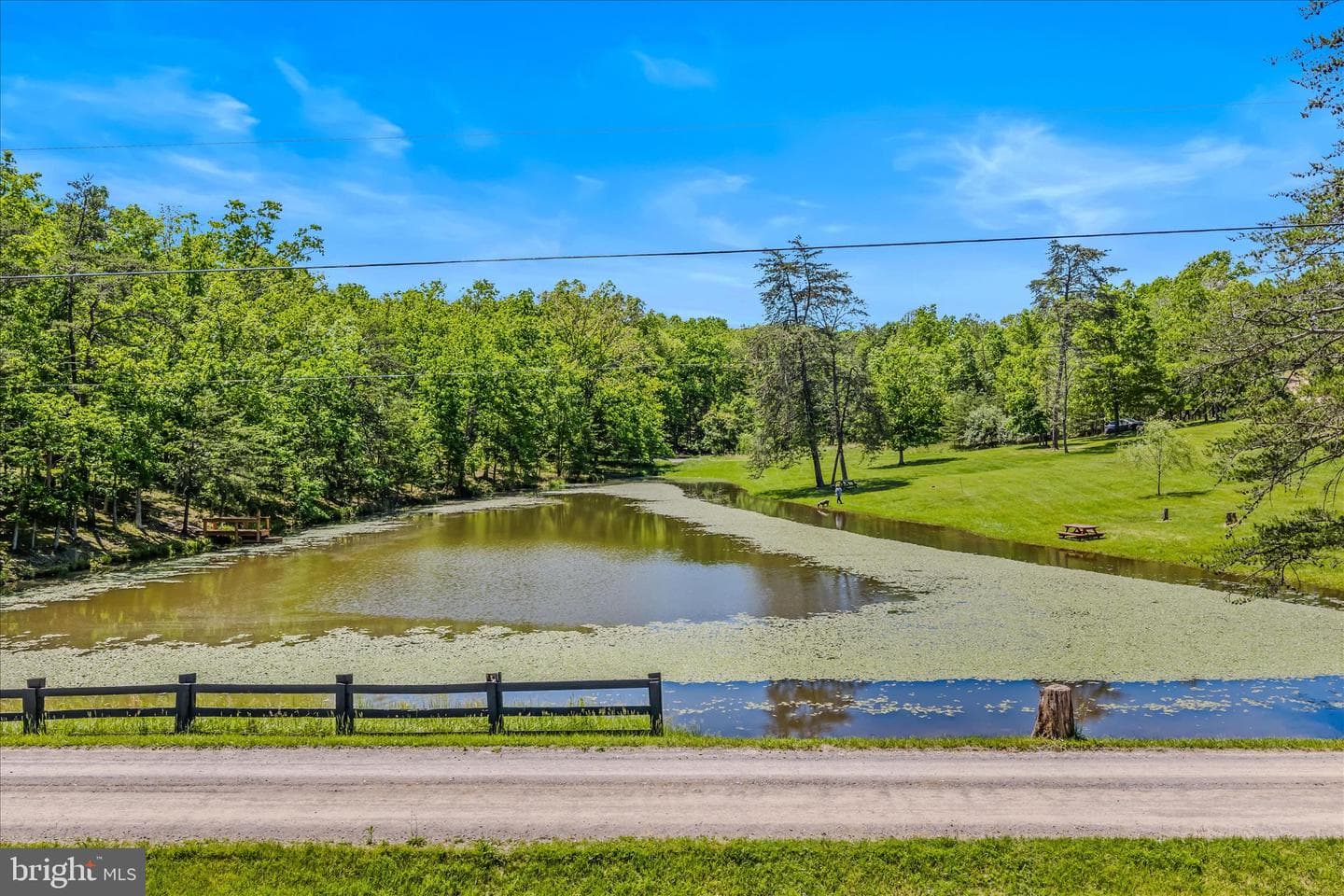 80 Holly Hill Court photo 54