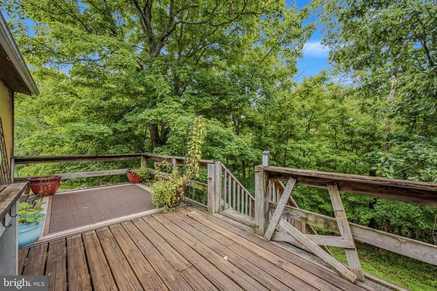 602 Plum Tree Lane photo 27