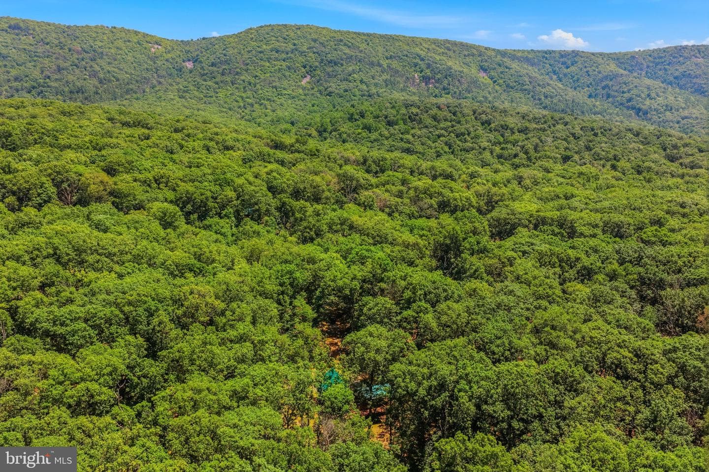 250 Flat Ridge Road photo 50