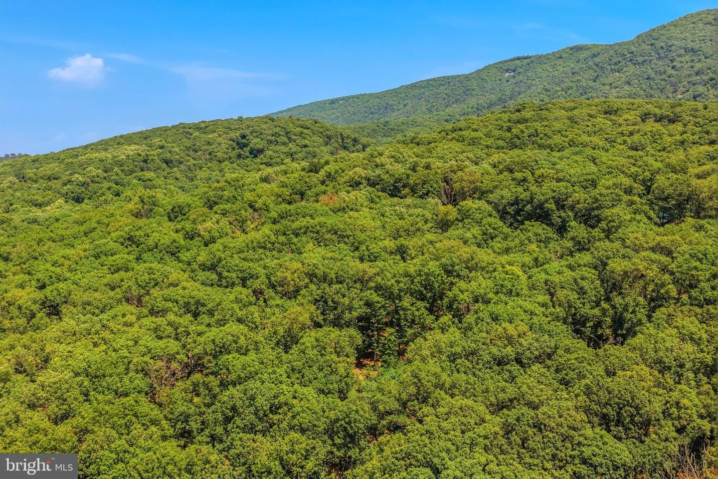 250 Flat Ridge Road photo 52