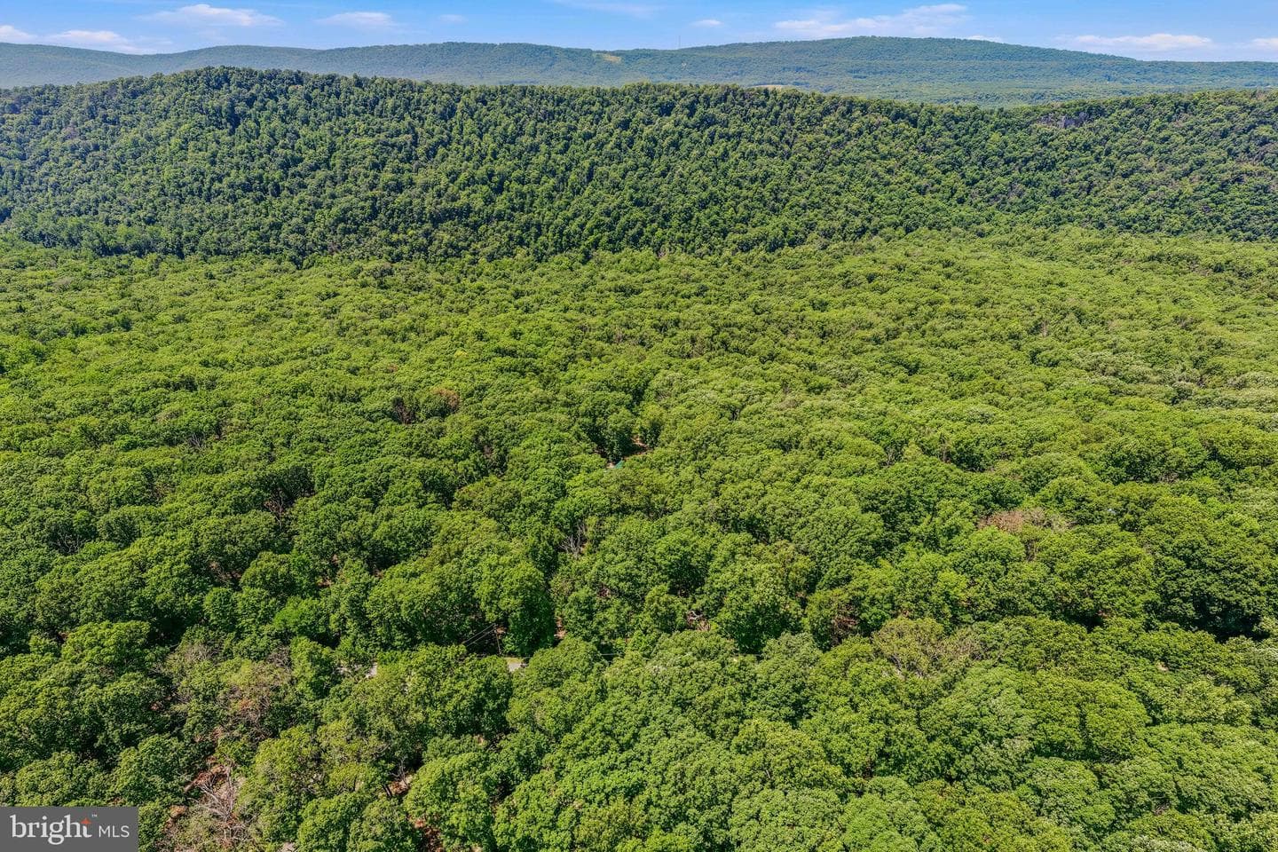 250 Flat Ridge Road photo 56