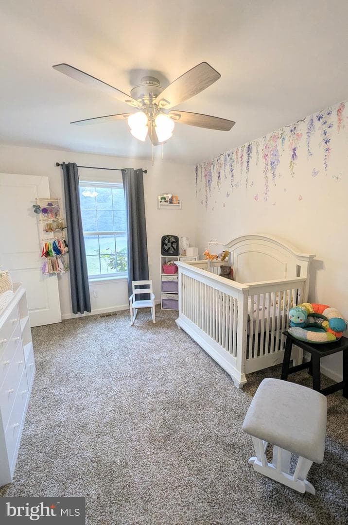 383 Cielo Lane photo 42