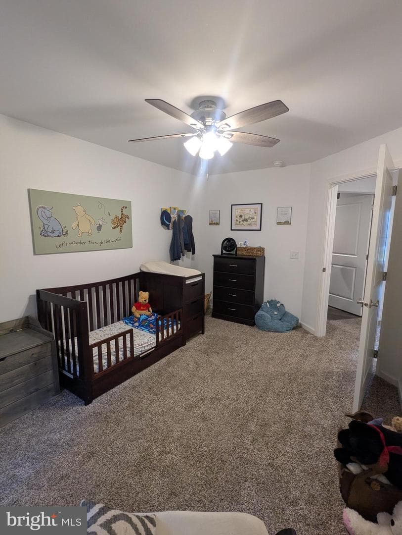 383 Cielo Lane photo 45