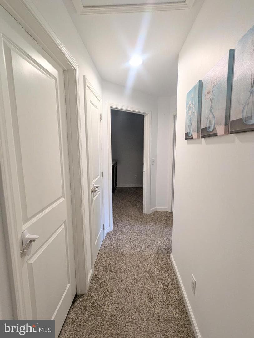383 Cielo Lane photo 49